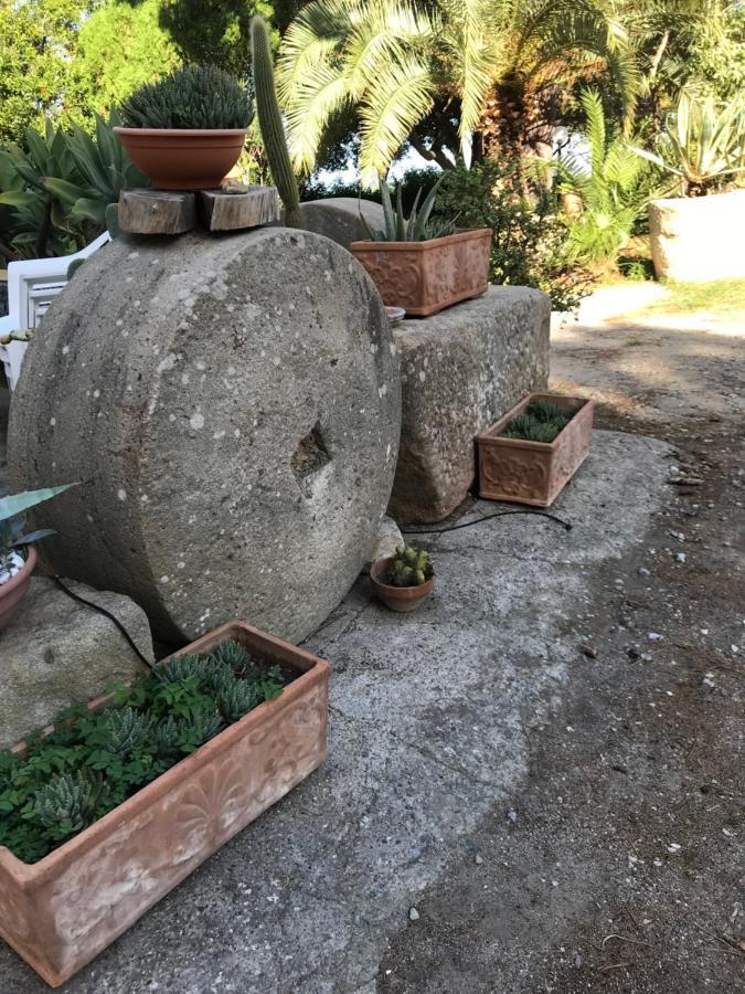 A Casa Di Peppino Villa Greco Tindari Eksteriør billede