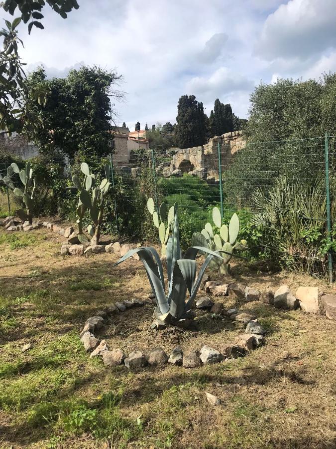 A Casa Di Peppino Villa Greco Tindari Eksteriør billede