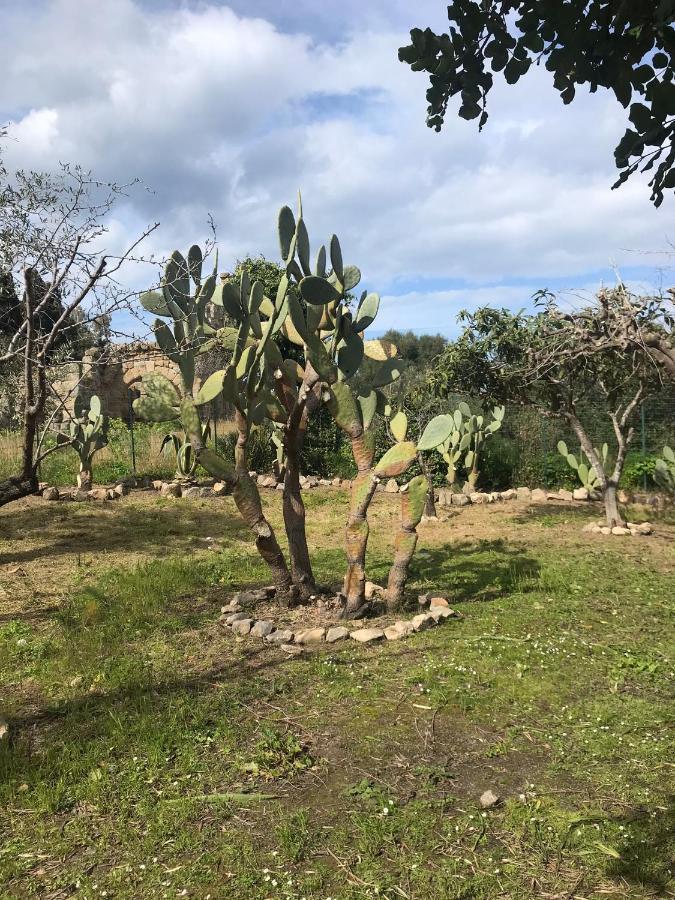 A Casa Di Peppino Villa Greco Tindari Eksteriør billede