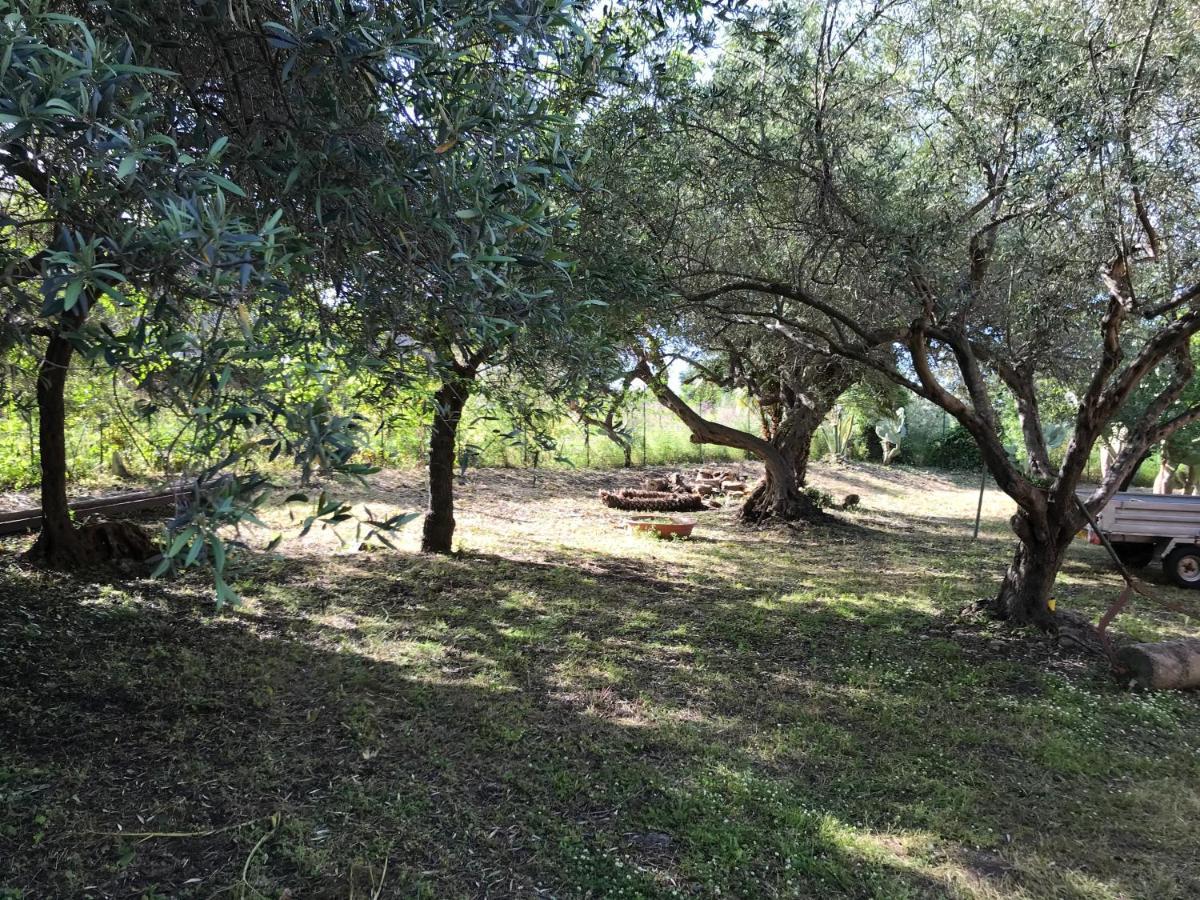 A Casa Di Peppino Villa Greco Tindari Eksteriør billede