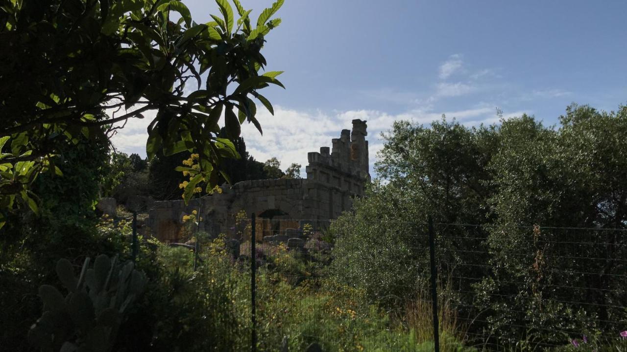 A Casa Di Peppino Villa Greco Tindari Eksteriør billede