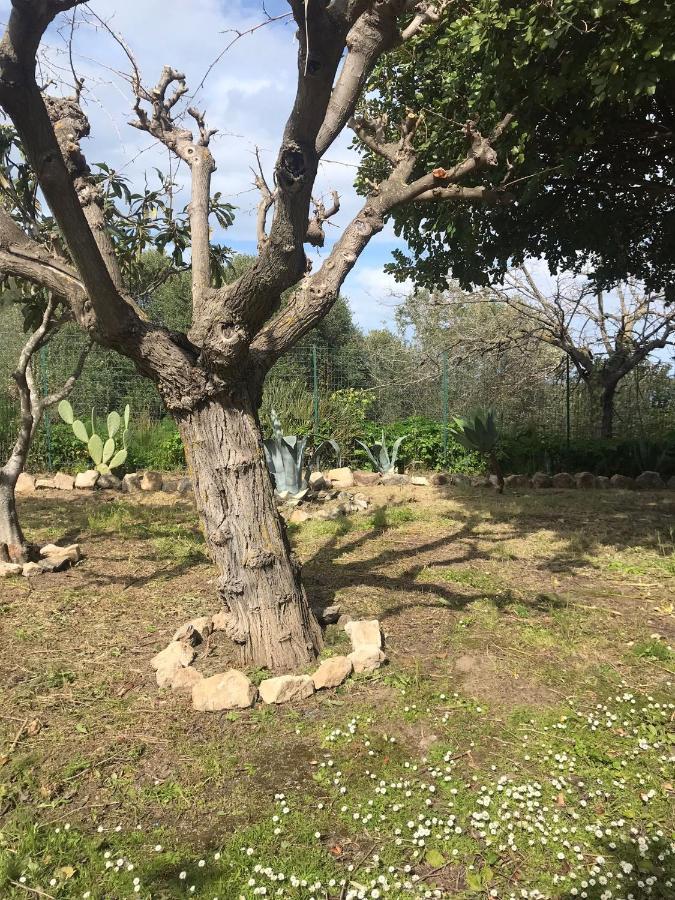 A Casa Di Peppino Villa Greco Tindari Eksteriør billede