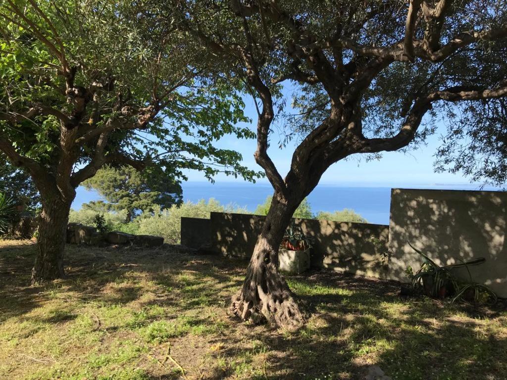 A Casa Di Peppino Villa Greco Tindari Eksteriør billede