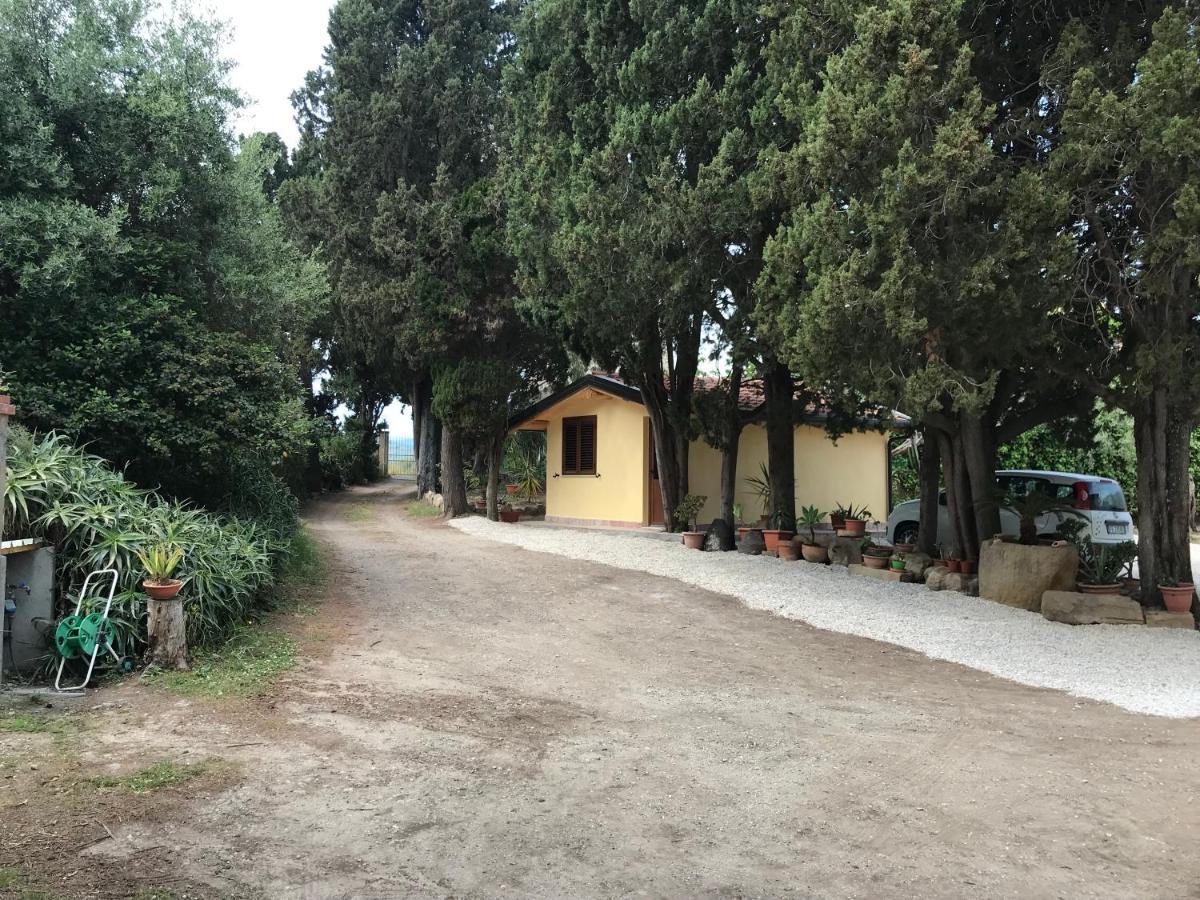 A Casa Di Peppino Villa Greco Tindari Eksteriør billede